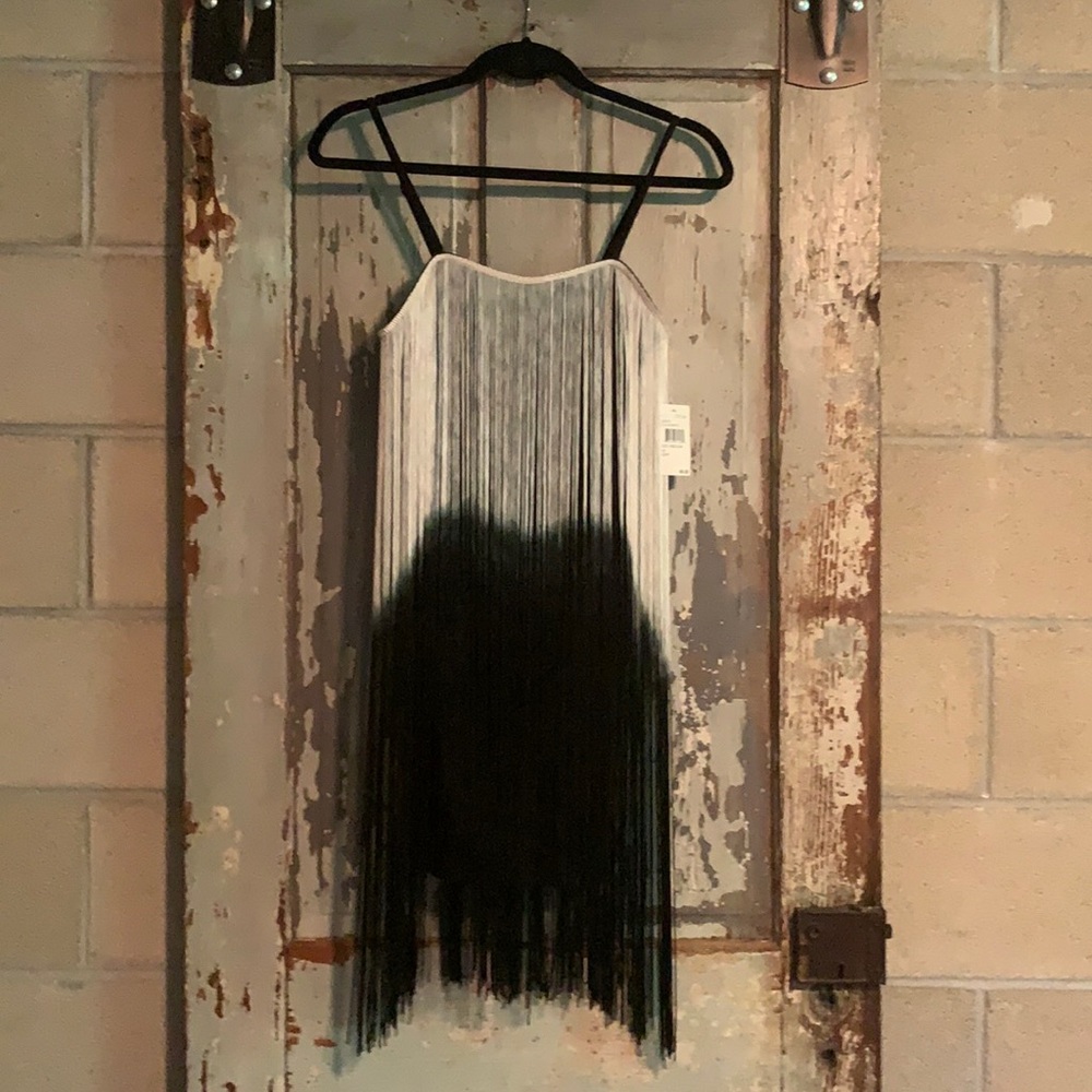 Fringy Flapper Dress